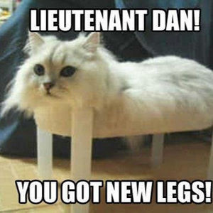 Meet your Posher, Mabel